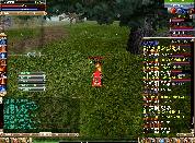 [8ֳ] ̶ Ƹ 2006  ̾...